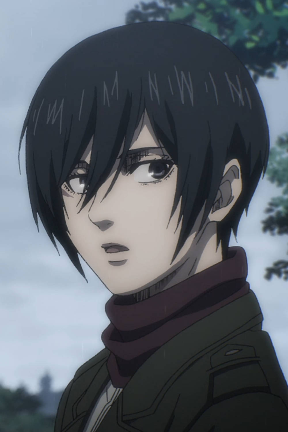 Mikasa Ackerman Short Haired