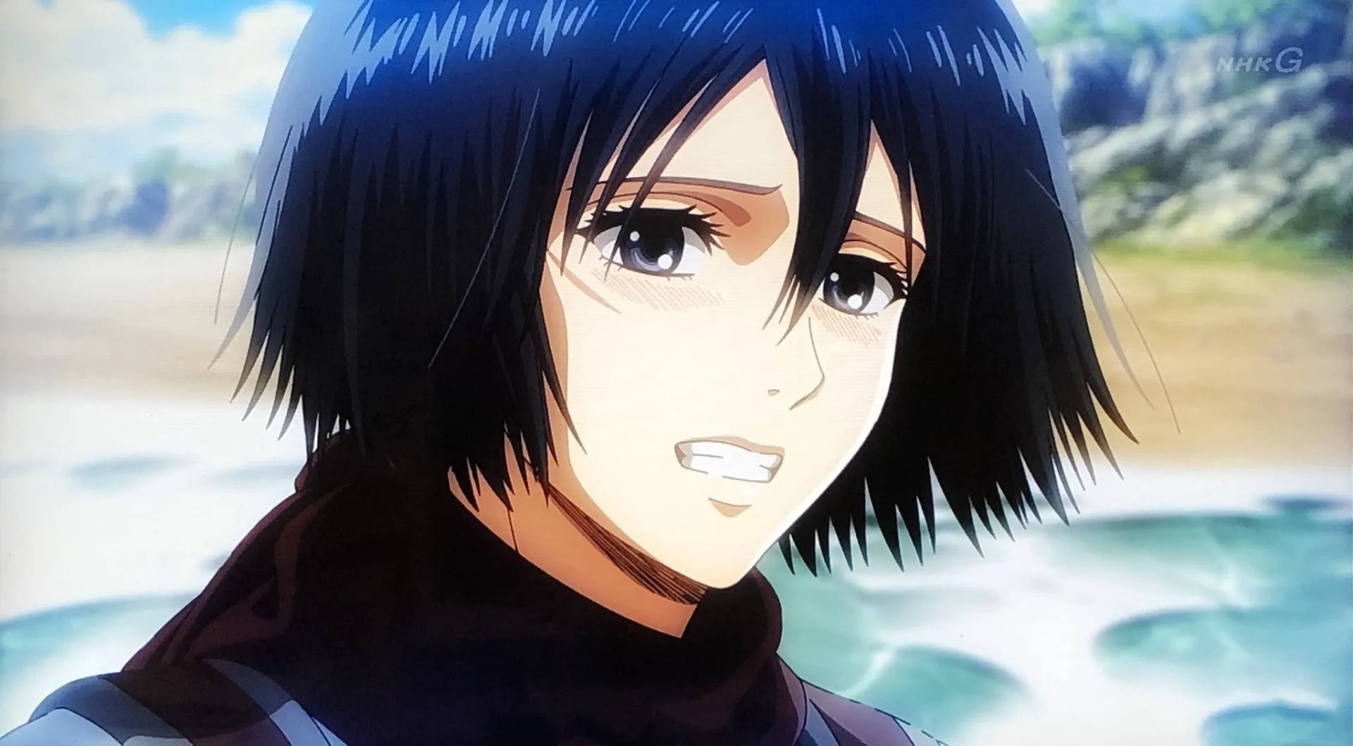 Mikasa Cute Blushing Expression Wallpaper