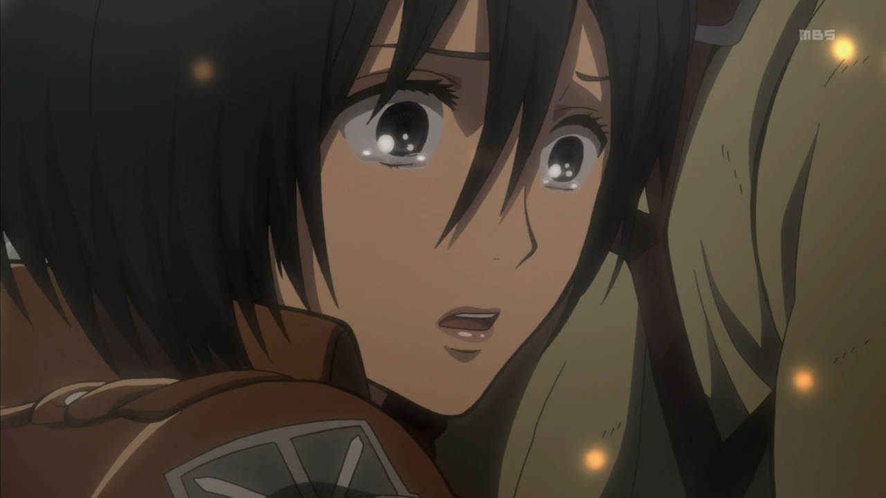 Mikasa Cute Shocked Expression Wallpaper