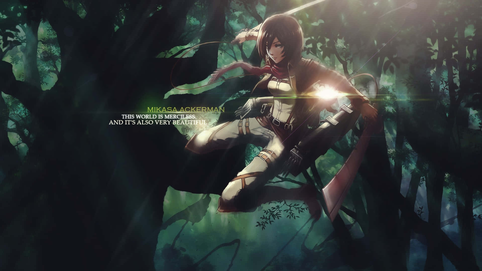 Mikasa Pfp Dark Forest Wallpaper