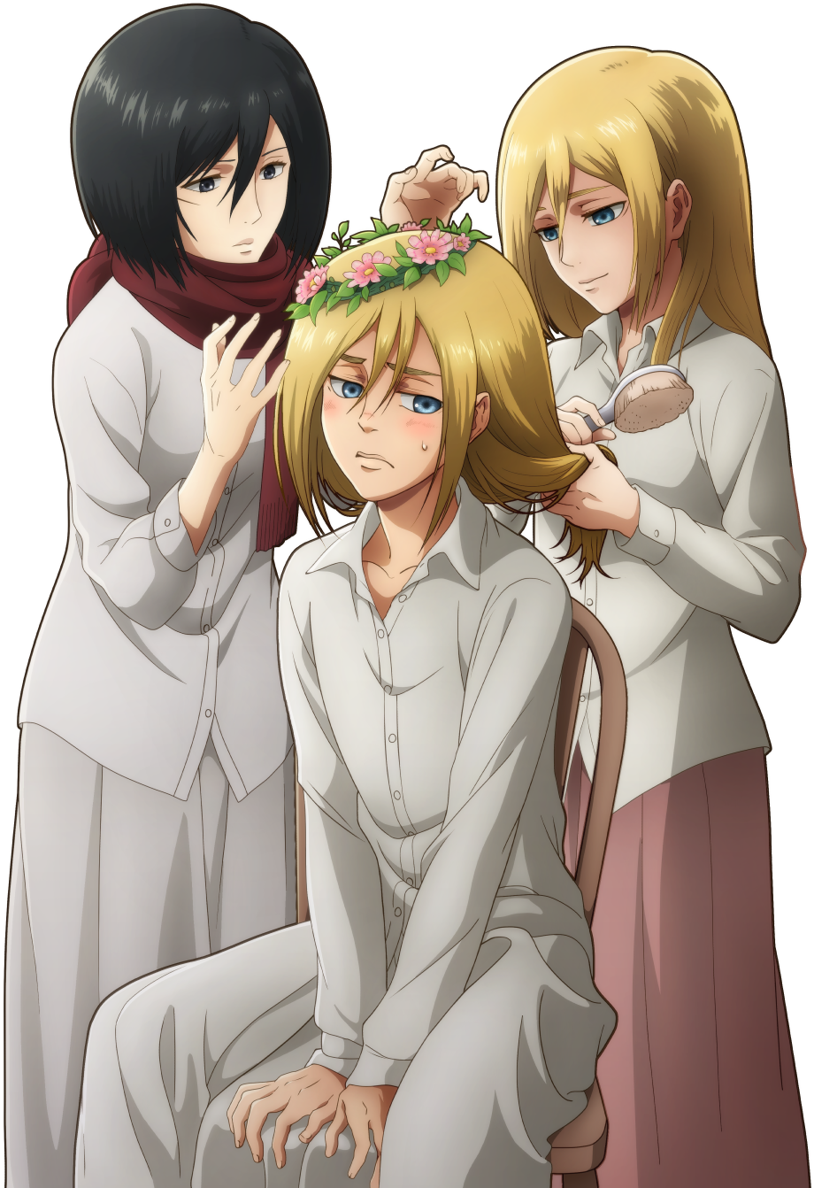 Mikasa_and_ Friends_ Grooming_ Session PNG