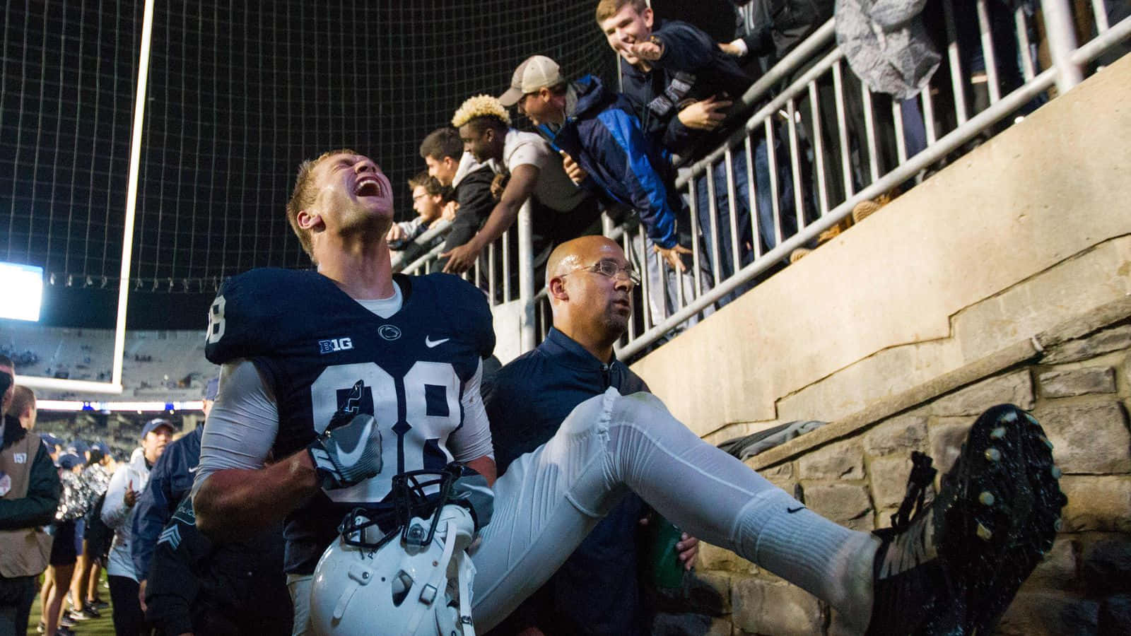 Mike Gesicki Celebration With Fans Wallpaper
