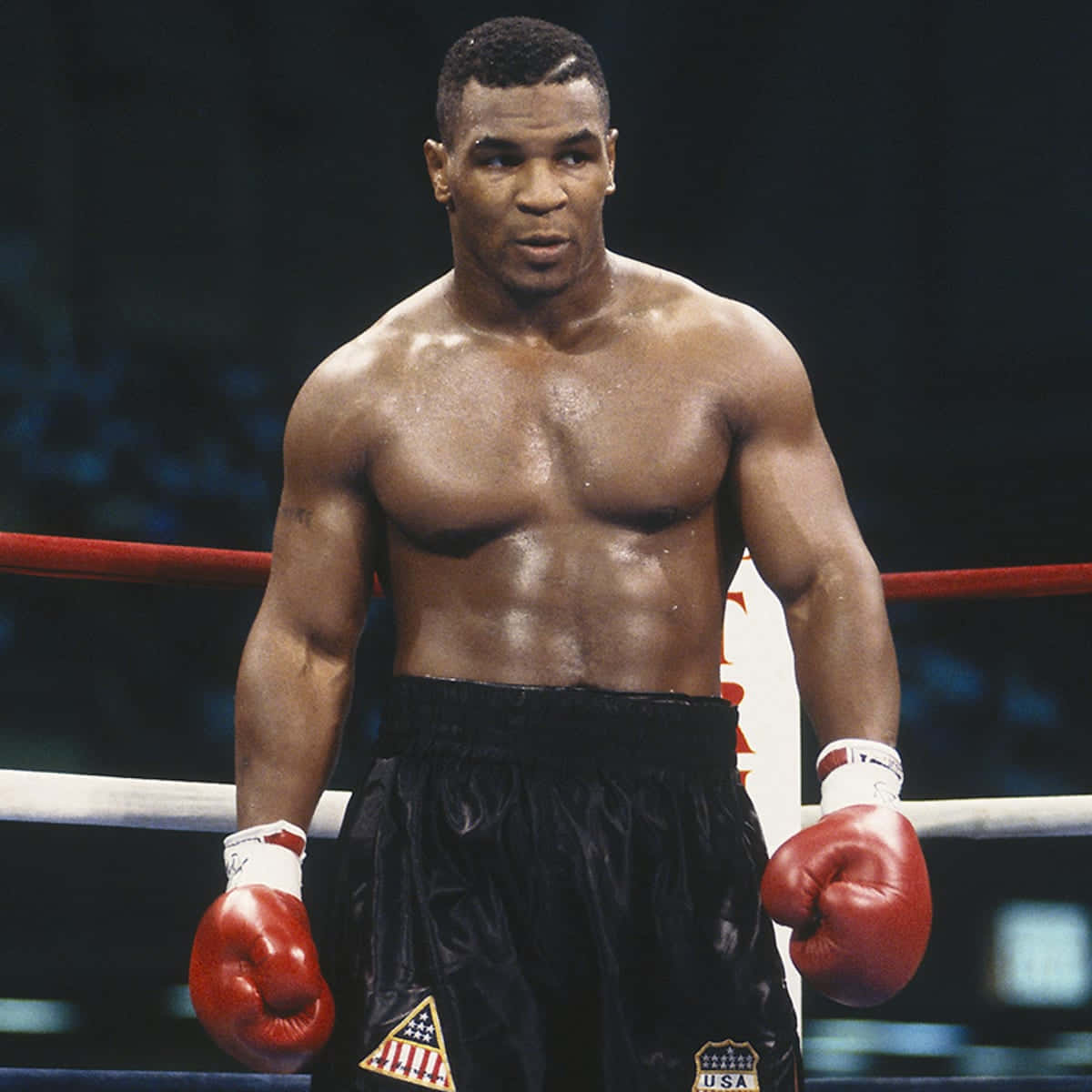 Mike Tyson - World Heavyweight Boxing Champion