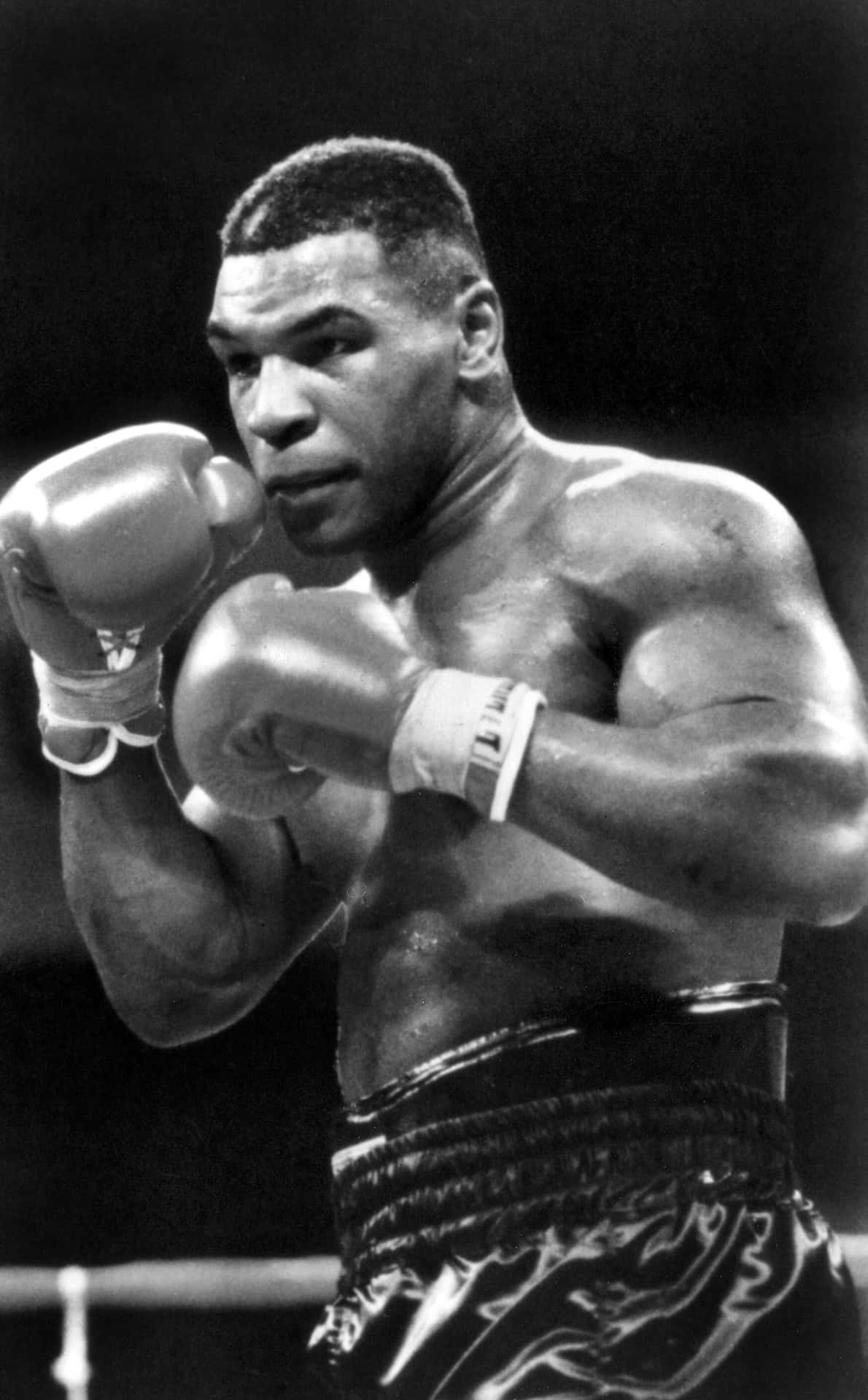 Legendary Boxer Mike Tyson in action