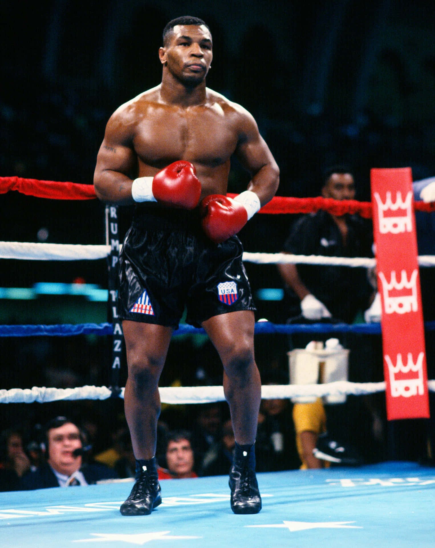 Mike Tyson - A Boxing Legend