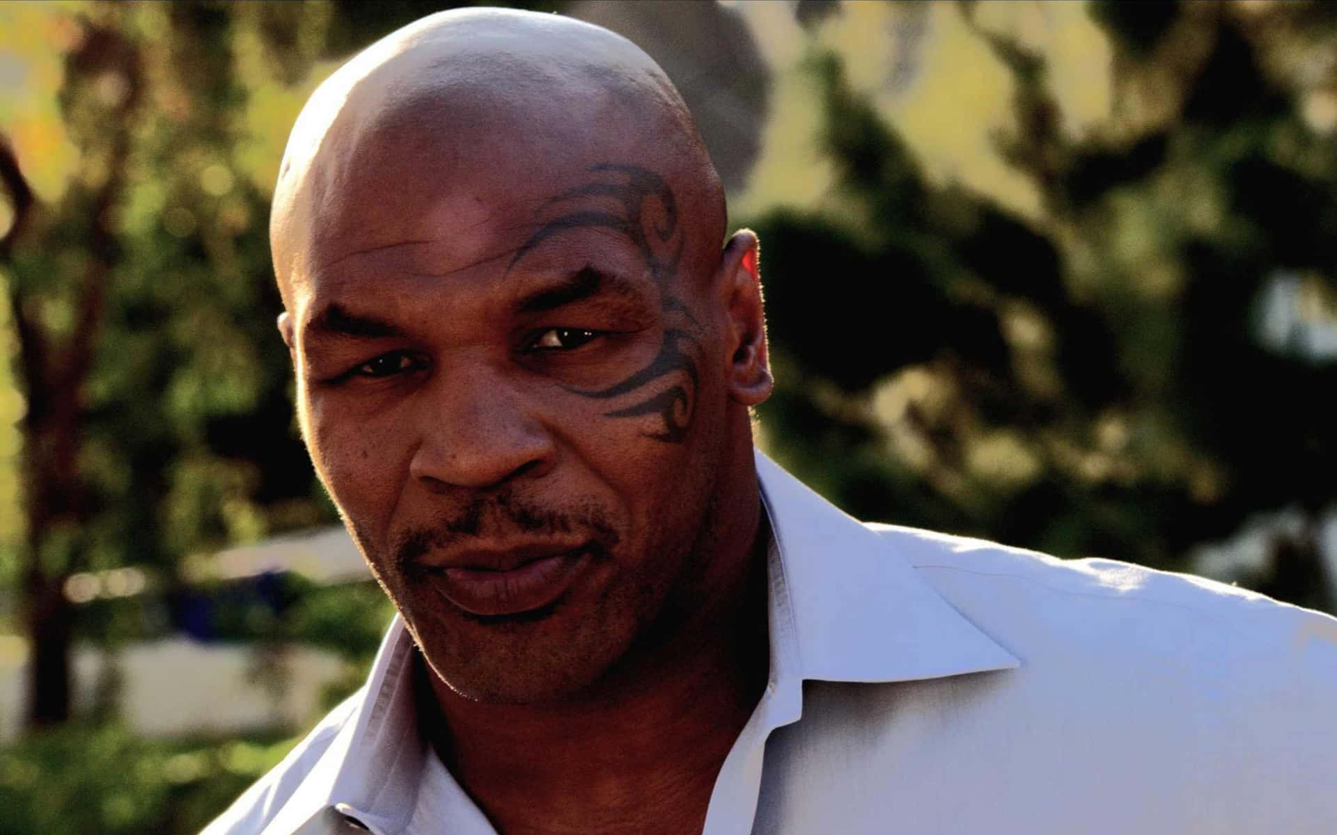 Former Heavyweight Champion, Mike Tyson in a boxing pose