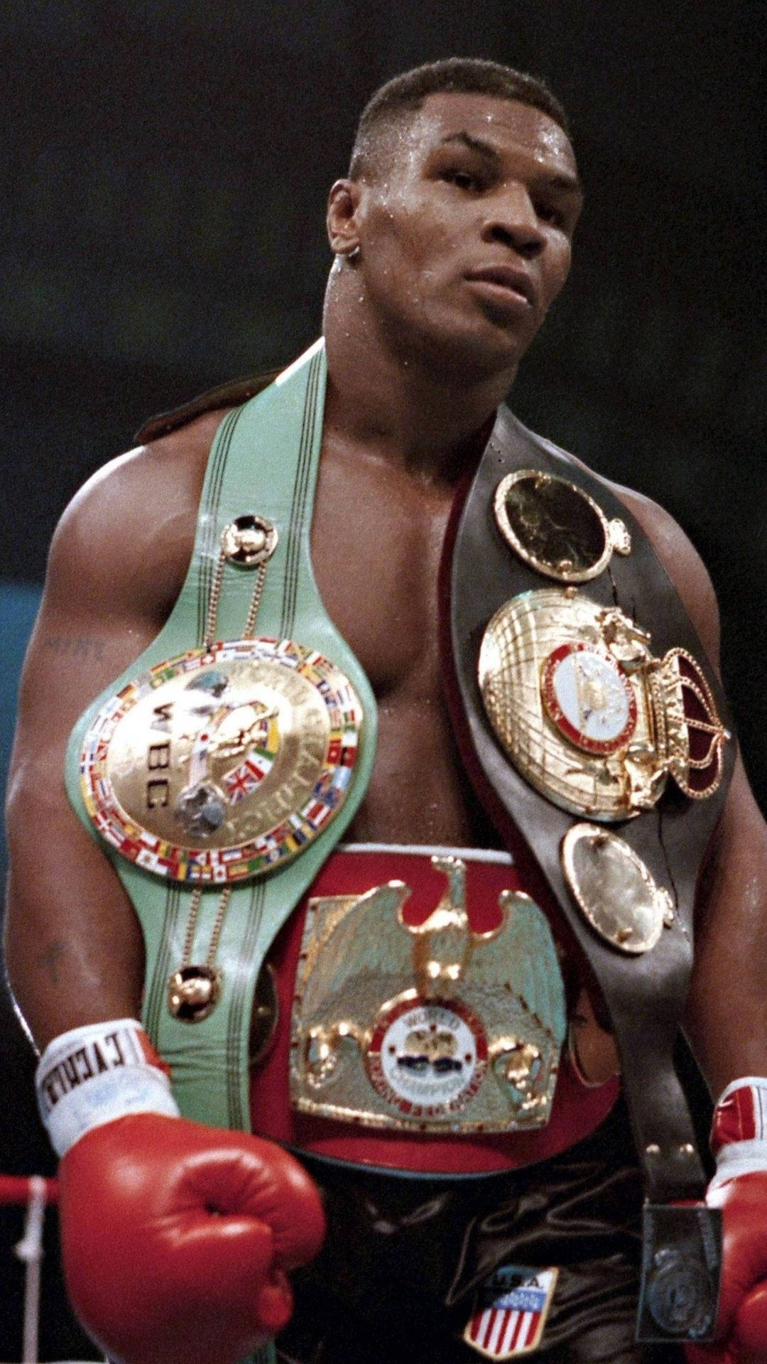 Mike Tyson Boxing Champ Wallpaper