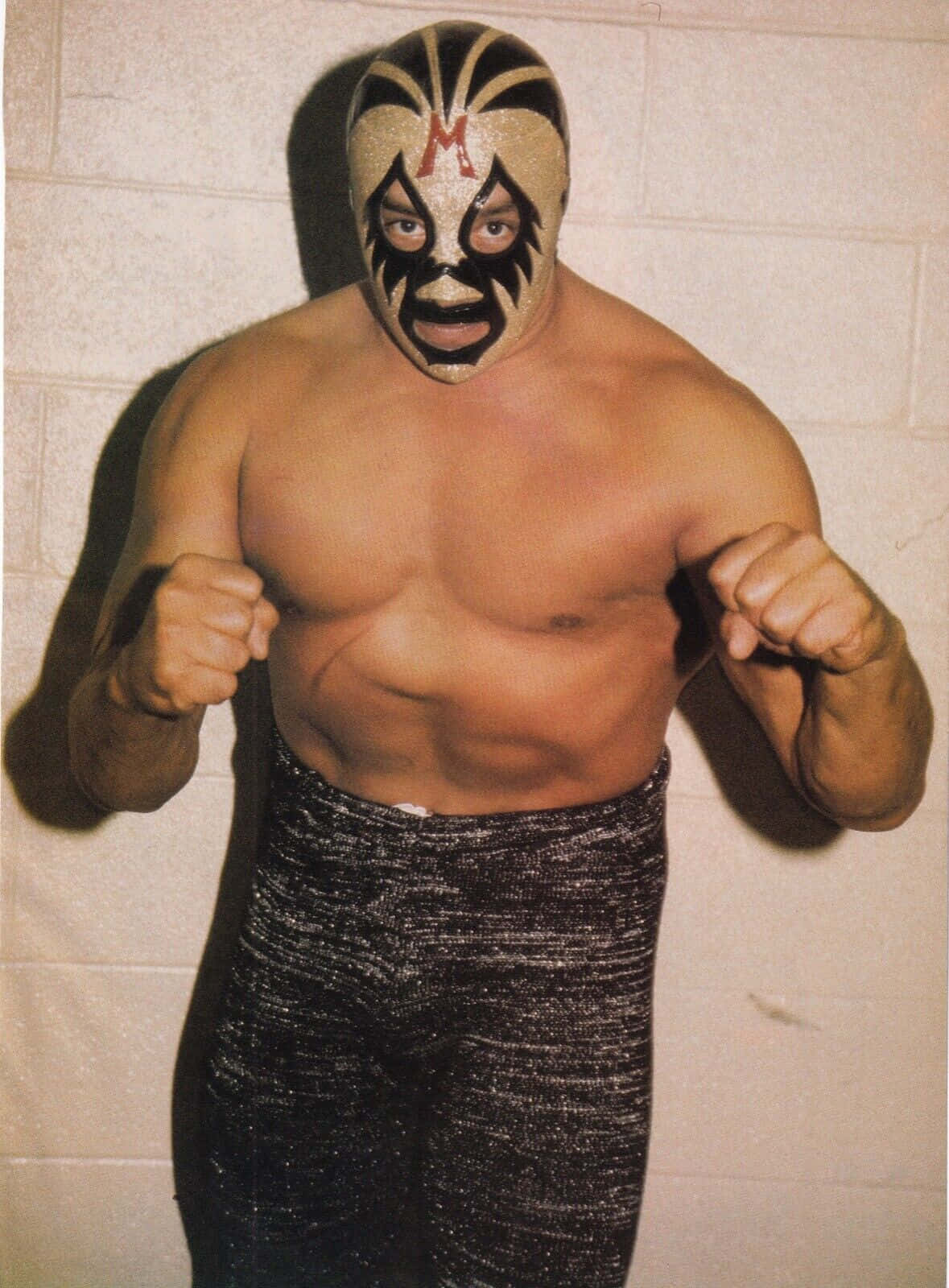 Mil Mascaras With Fist Pump Wallpaper