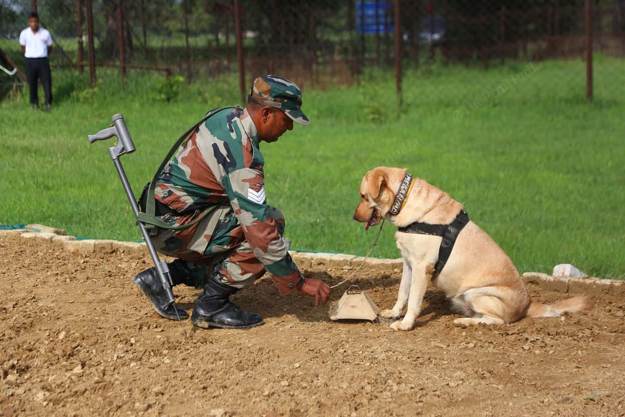 Militaire Hond Training Oefening Achtergrond