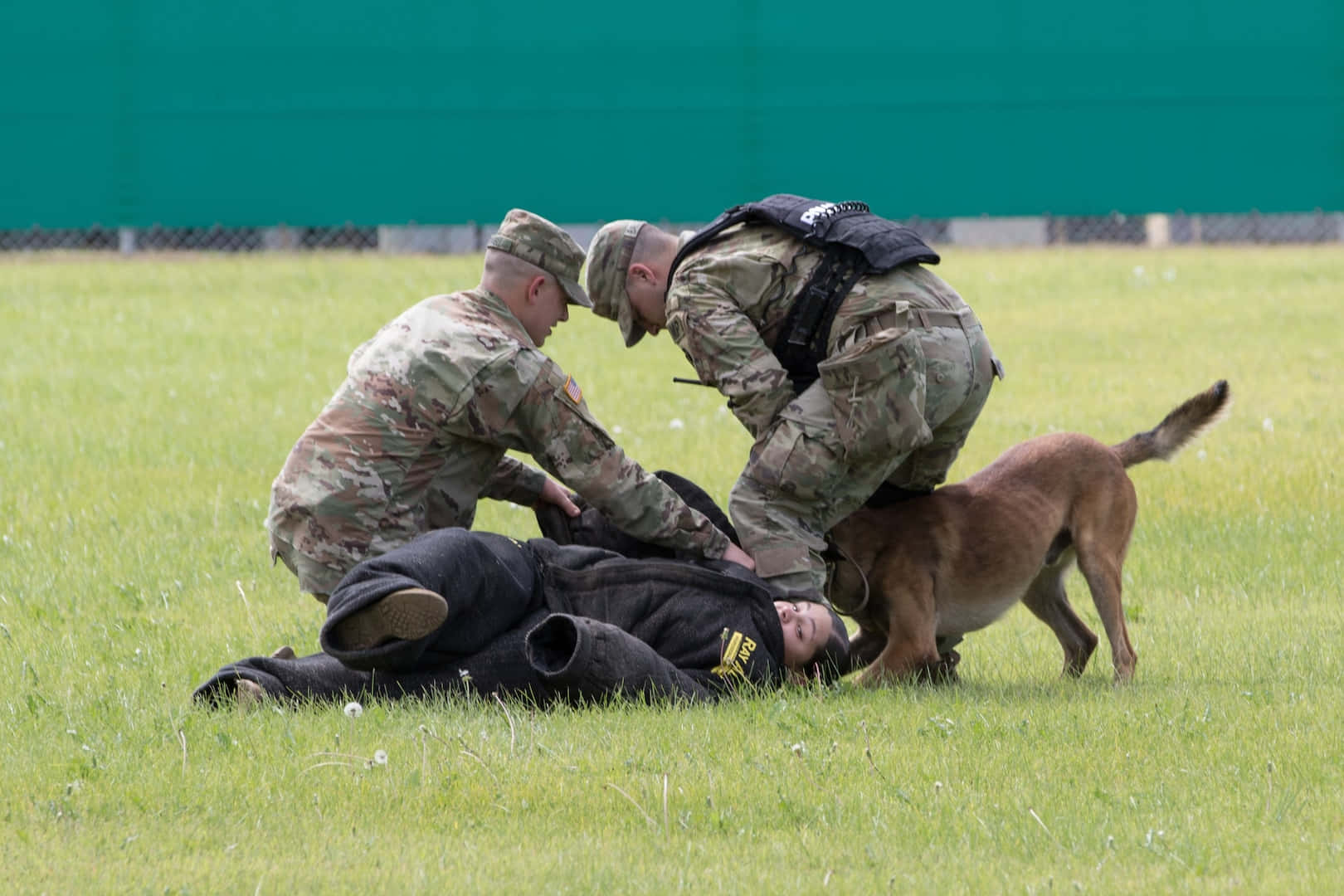 Militaire Hond Training Oefening Achtergrond