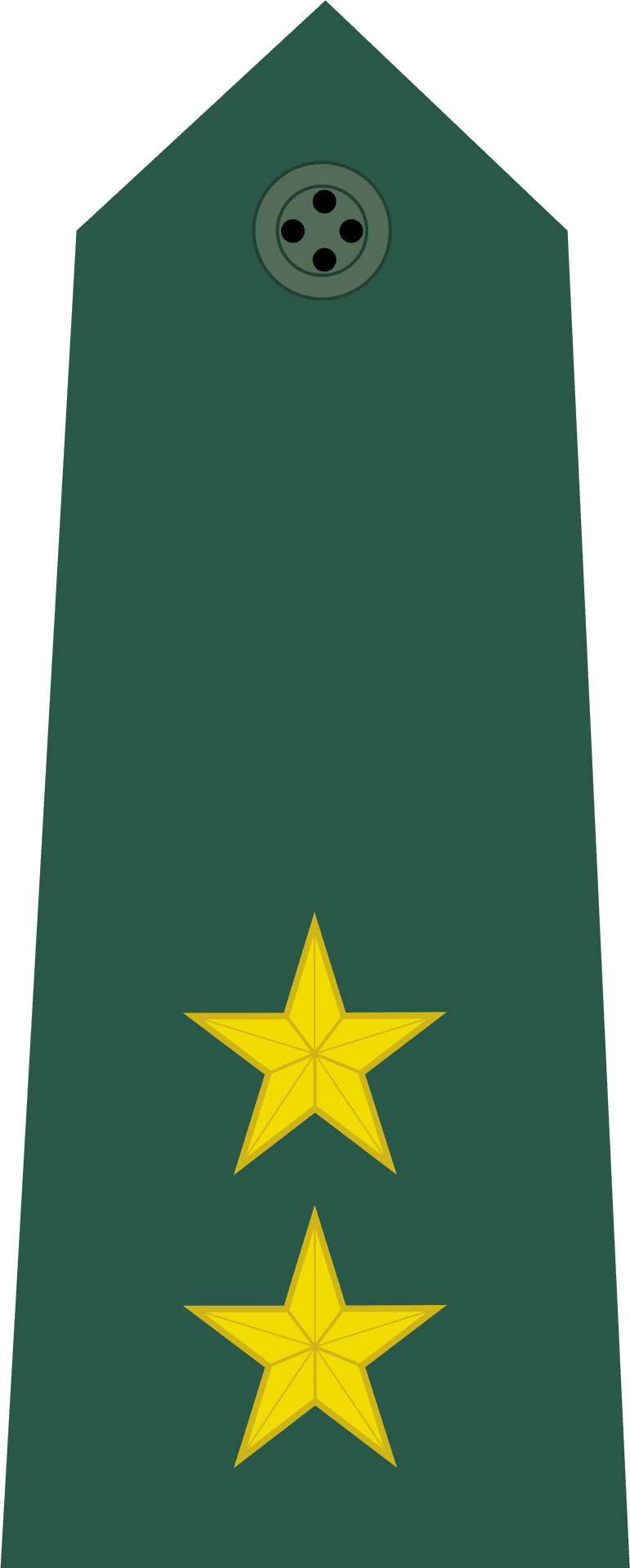 Military Epaulettewith Two Stars PNG