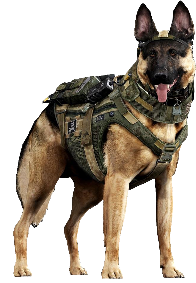 Military German Shepherdin Tactical Gear PNG