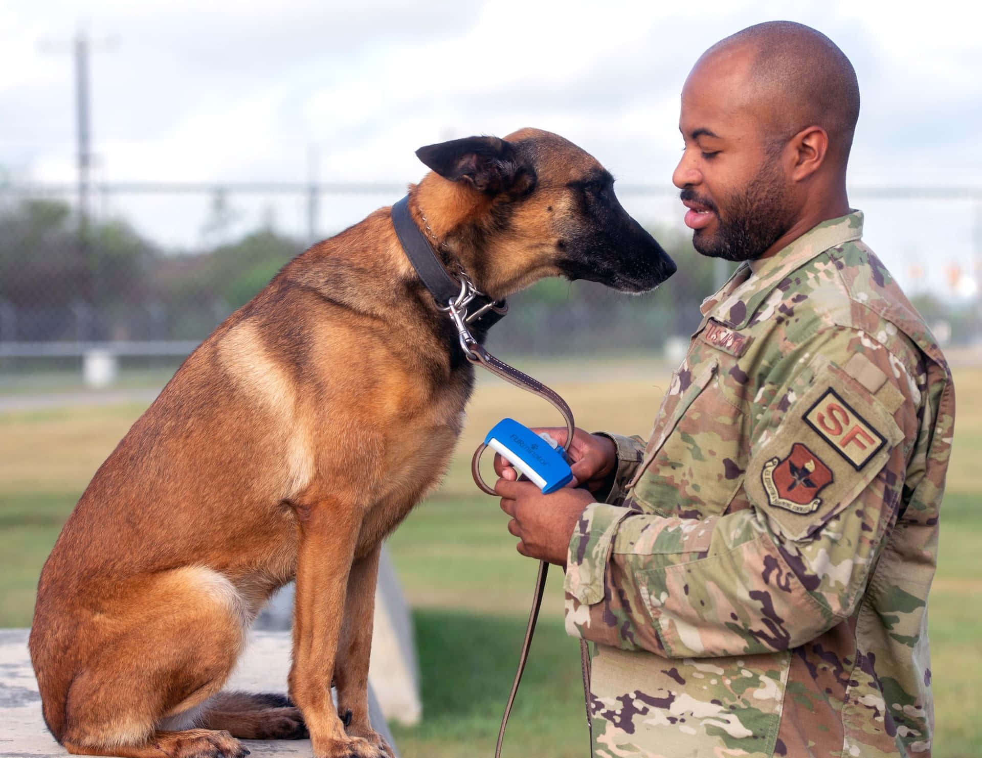 Militaire Handler Binding Met Hond Achtergrond