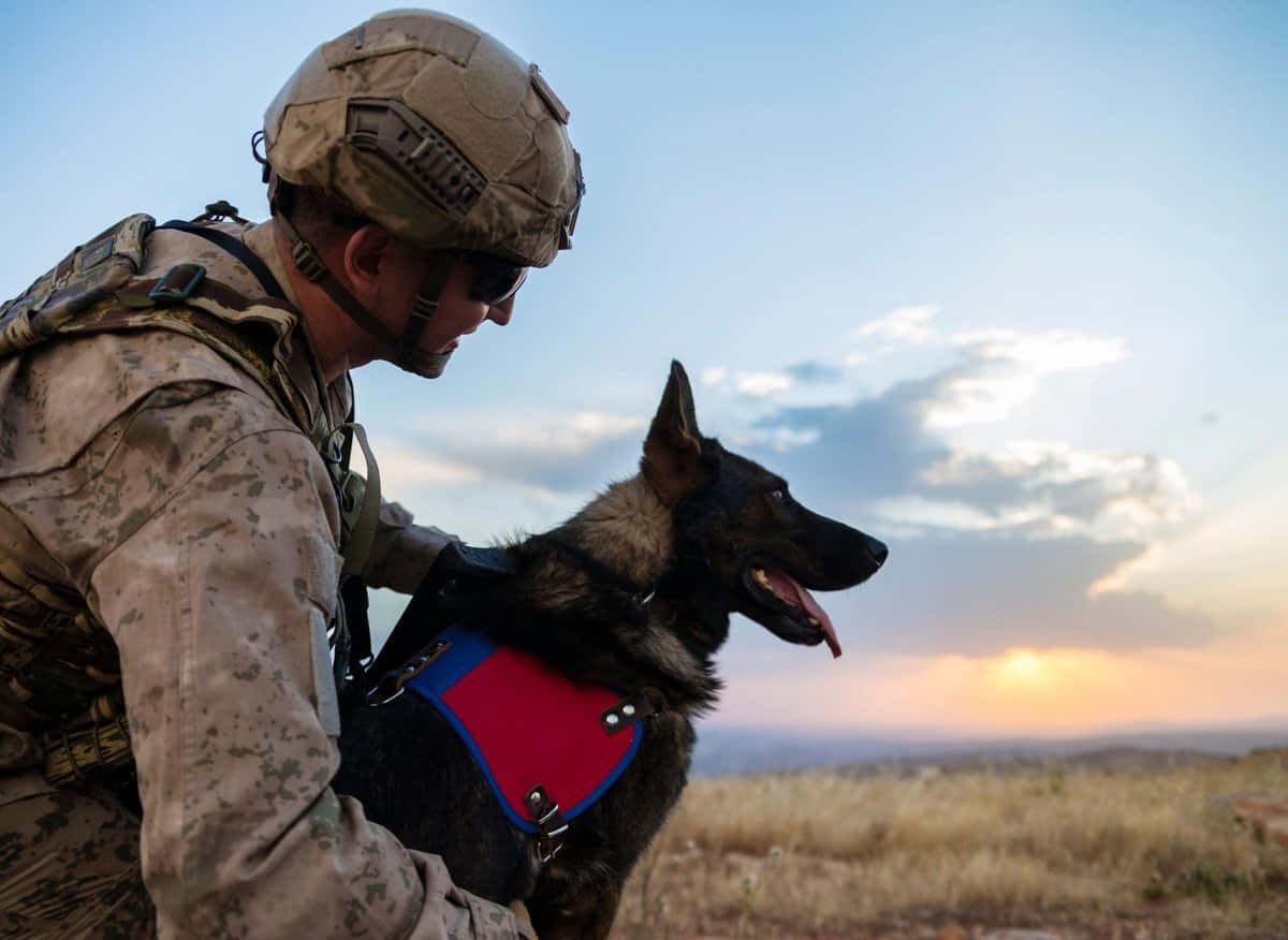 Militaire Handler En Diensthond Bij Zonsondergang Achtergrond