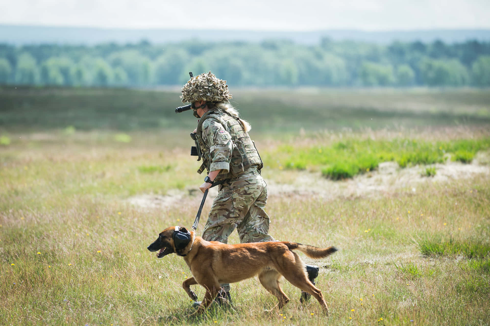 Militaire Handler En Werkhond Achtergrond