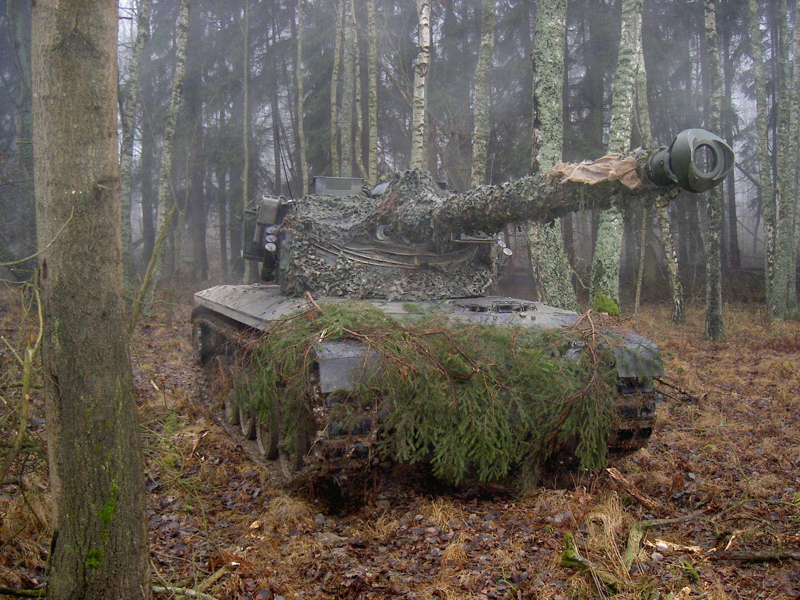 Tanquesmilitares En El Bosque. Fondo de pantalla