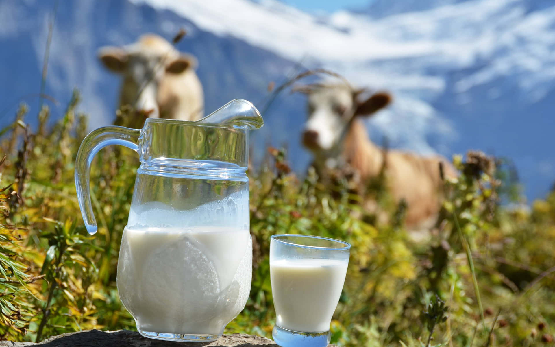 Lyxigoch Läcker Är Mjölk Den Perfekta Godbiten För Alla Tillfällen