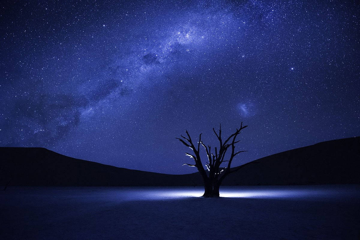 Milky Way Galaxy Bare Tree  Wallpaper