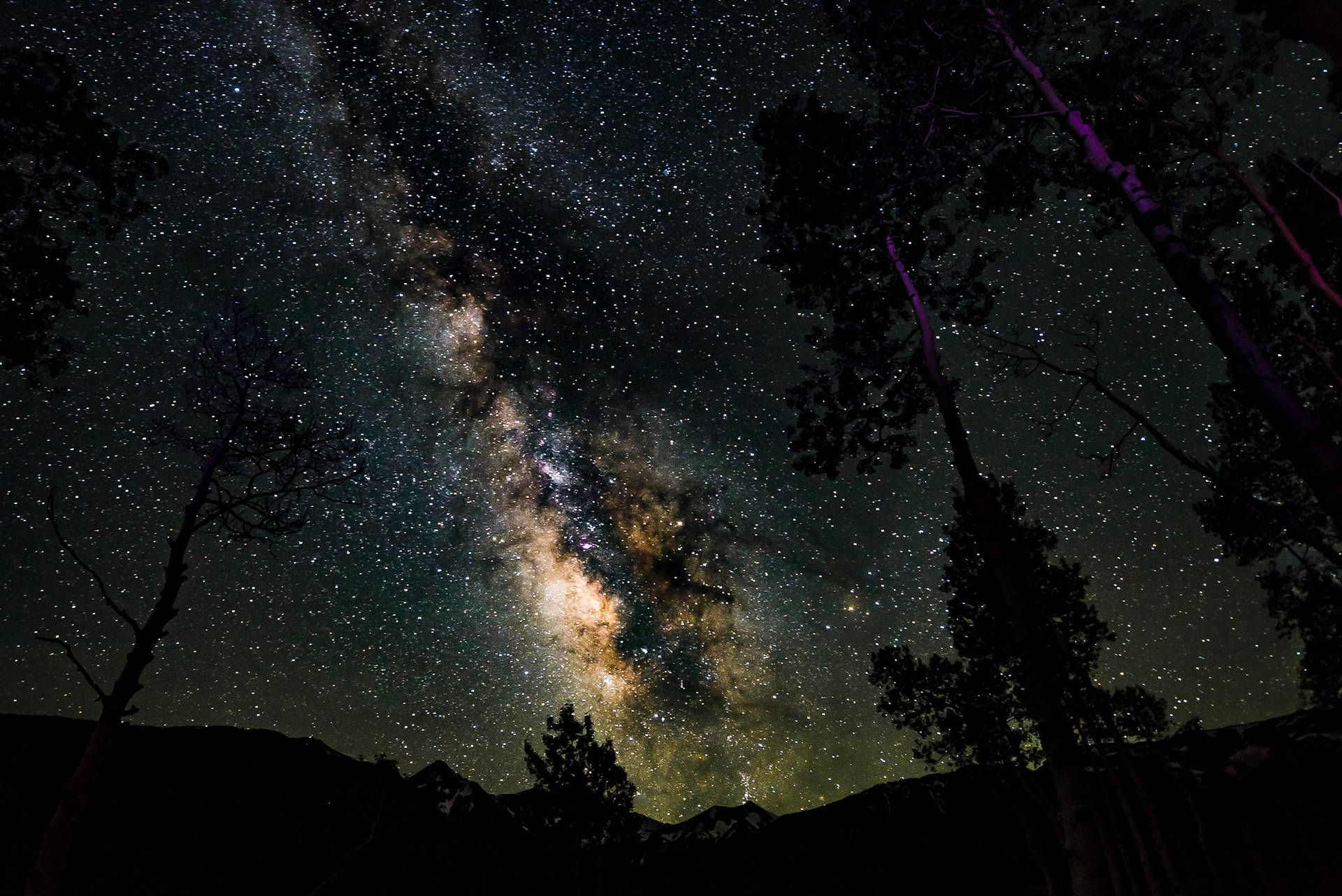 Milky Way Galaxy Silhouettes  Wallpaper