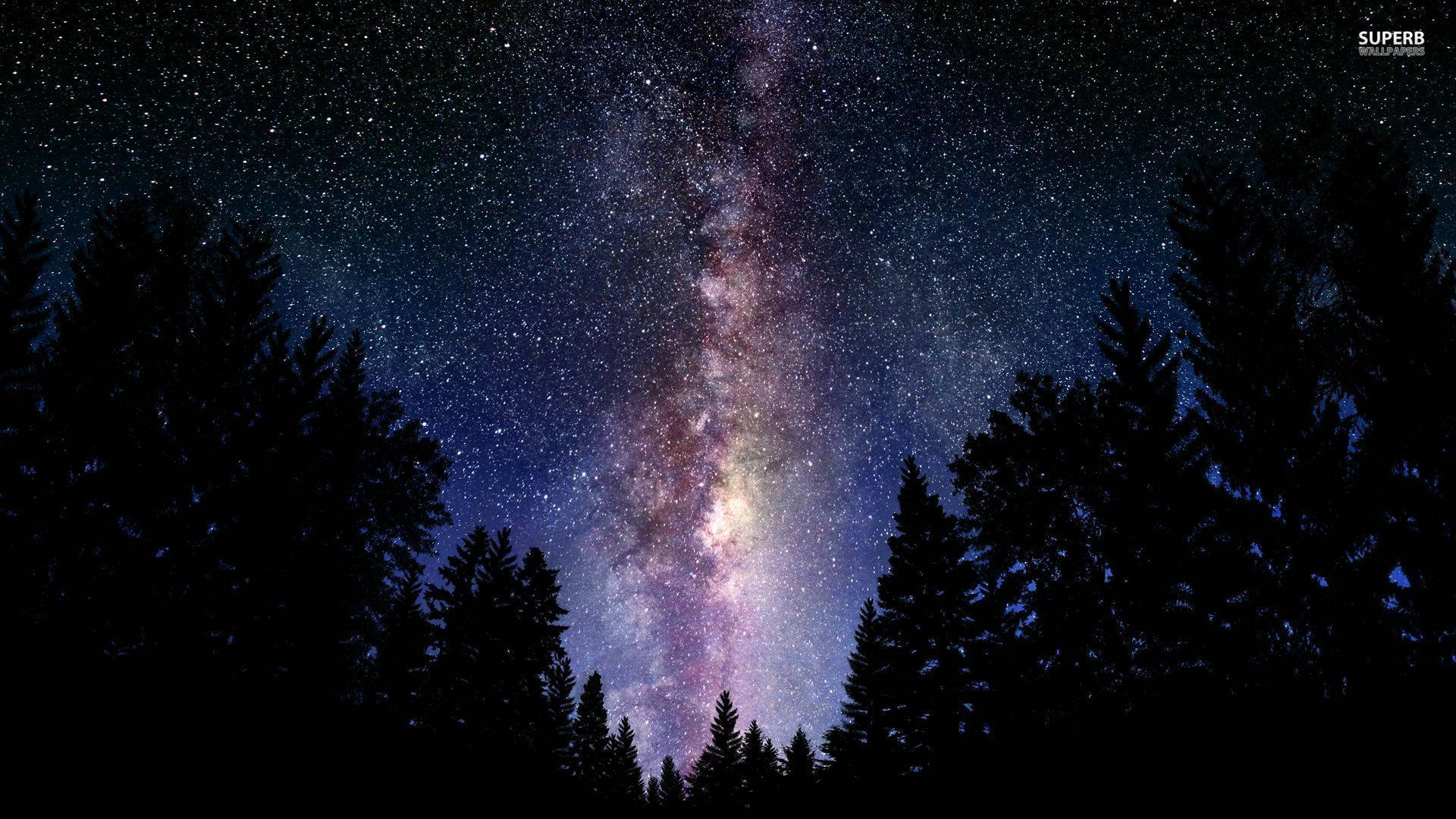 Milky Way In The Night Sky Wallpaper