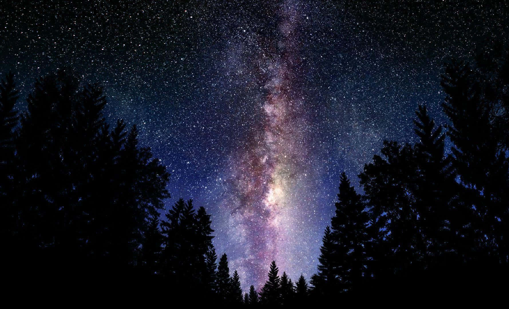 Enjoy the never ending beauty of the Milky Way