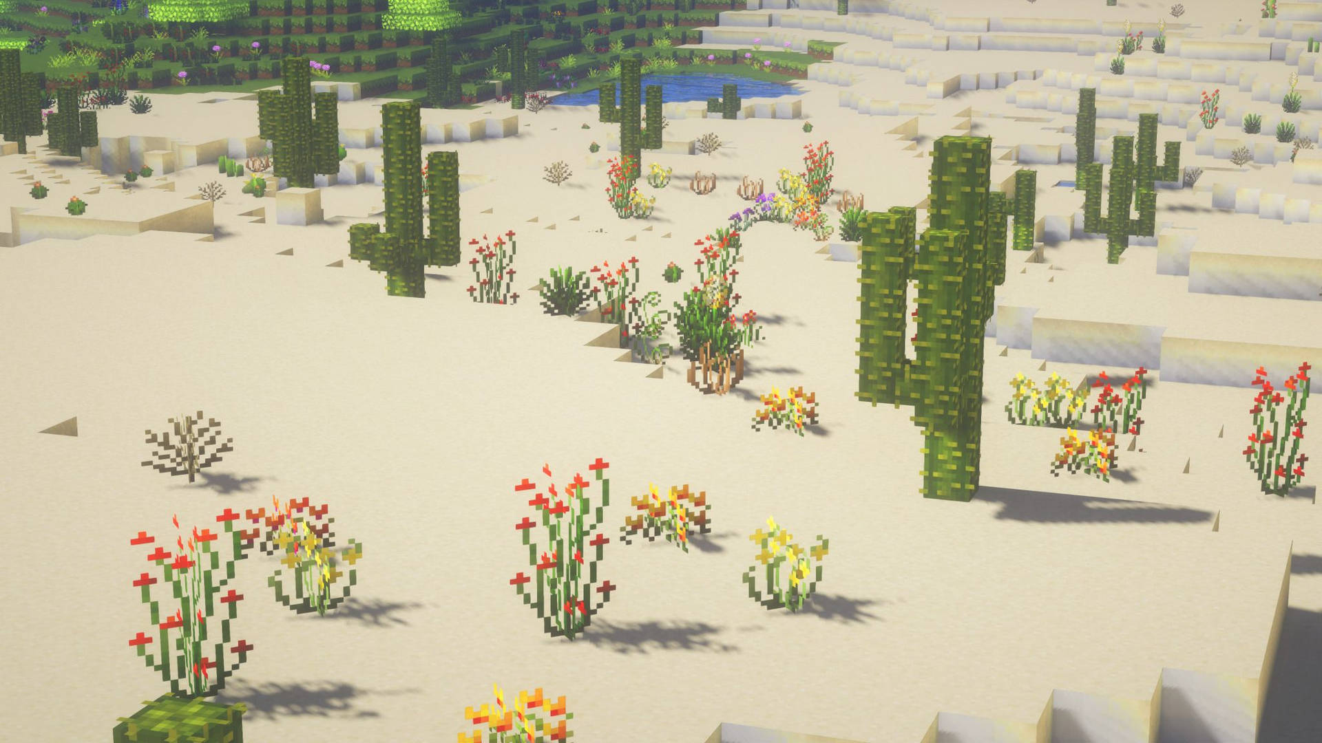 Aestheticde Minecraft Com Plantas De Cactos. Papel de Parede