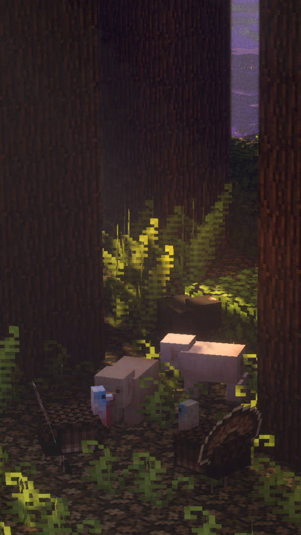 Minecraft Aesthetic Hidden Dark Forest Wallpaper