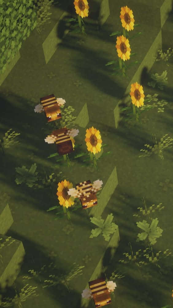 Einpixeliges Bild Von Einem Feld Mit Sonnenblumen. Wallpaper