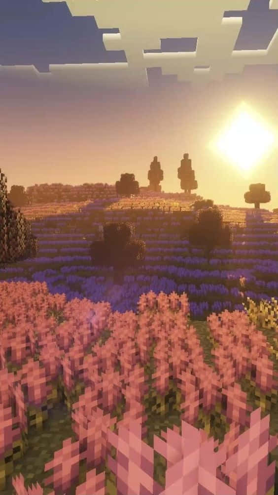 En Minecraft scene med et pink blomsterfelT Wallpaper