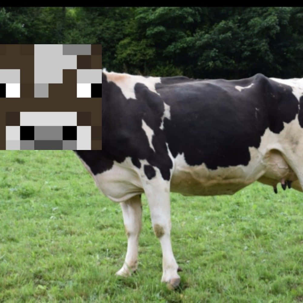Minecraft Cow Grazing Wallpaper