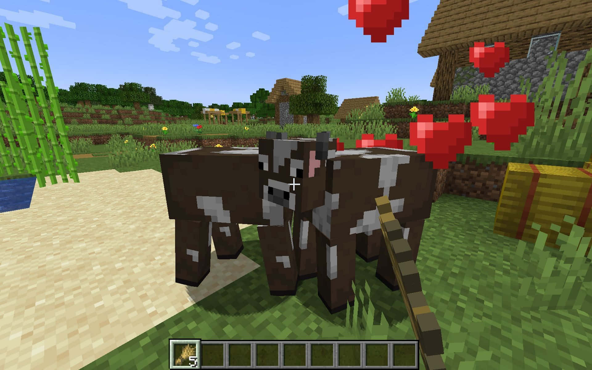 A Minecraft cow grazing on grass in the pixelated world Wallpaper