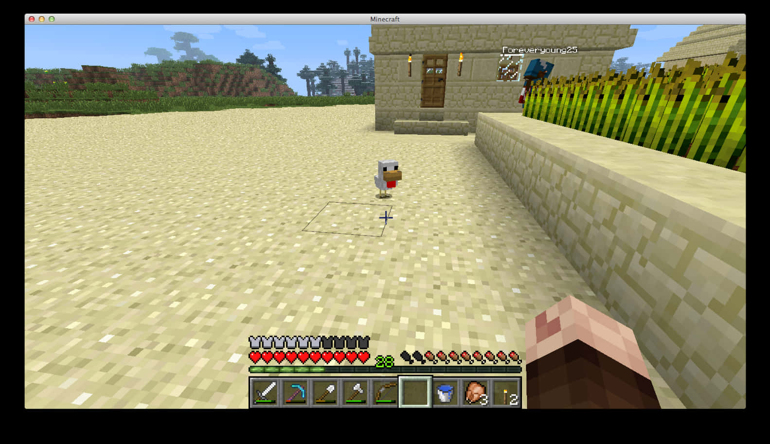 Minecraft_ Sand_ Village_ Chicken_ Adventure PNG