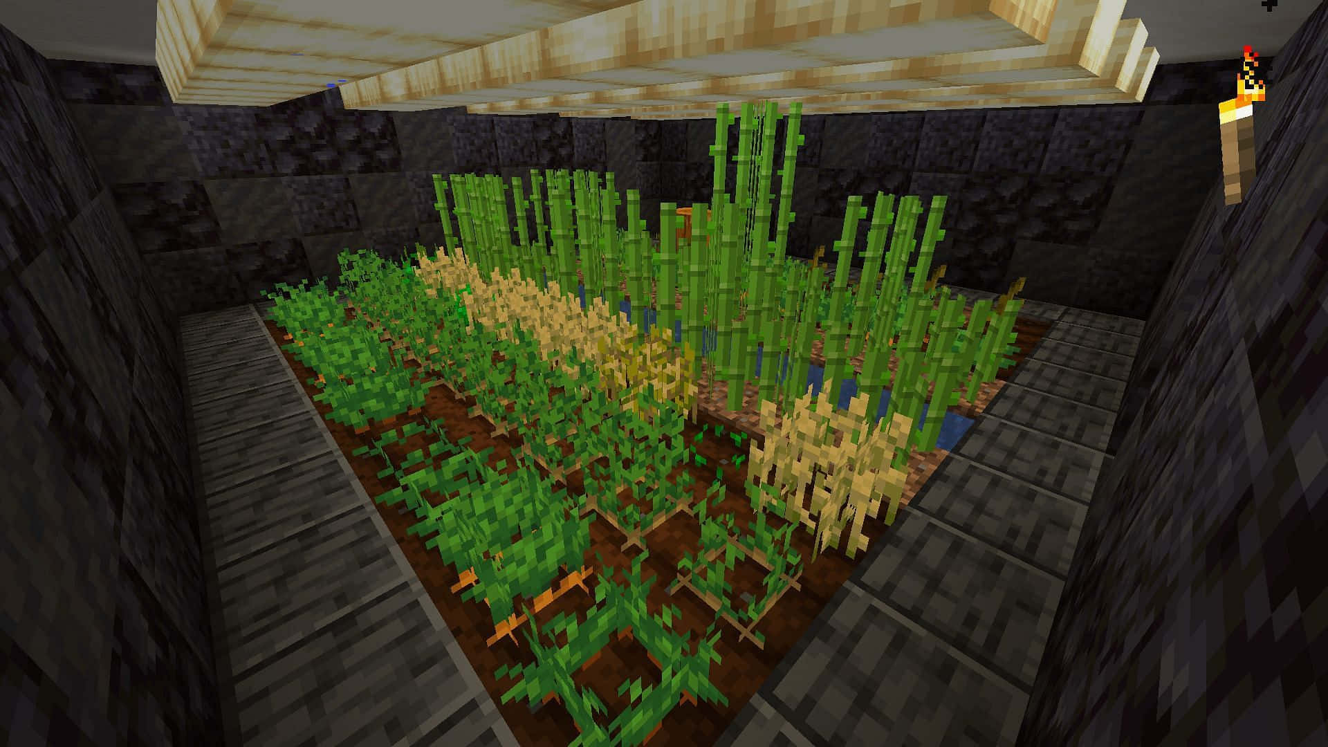 Minecraft Farming: The Ultimate Guide to Growing Crops Wallpaper