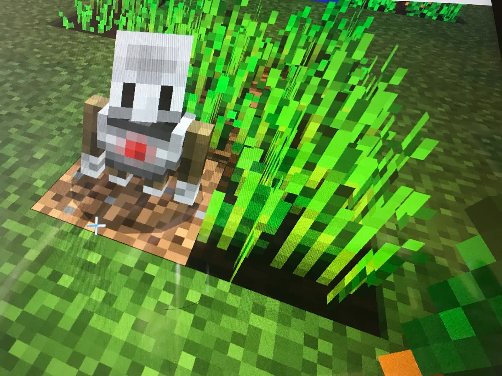 Unatranquila Granja De Minecraft Floreciendo Con Cultivos Y Animales. Fondo de pantalla