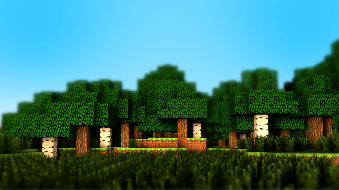 En luksuriøs græsning af grøn Minecraft græs Wallpaper