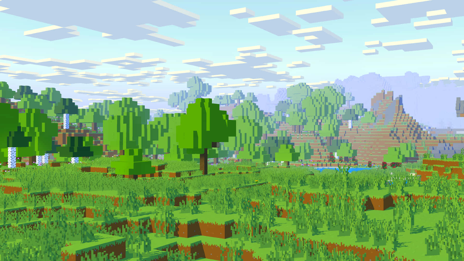 A Grass Block Found in Minecraft Wallpaper