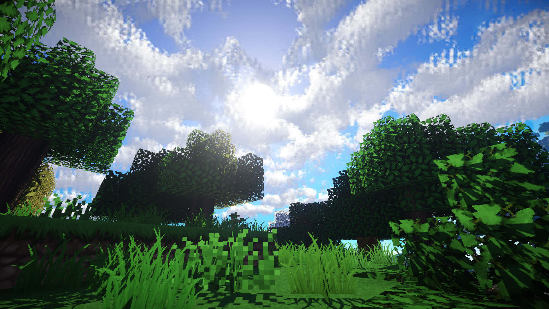 Unrigoglioso Campo Verde Nel Mondo Di Minecraft Sfondo