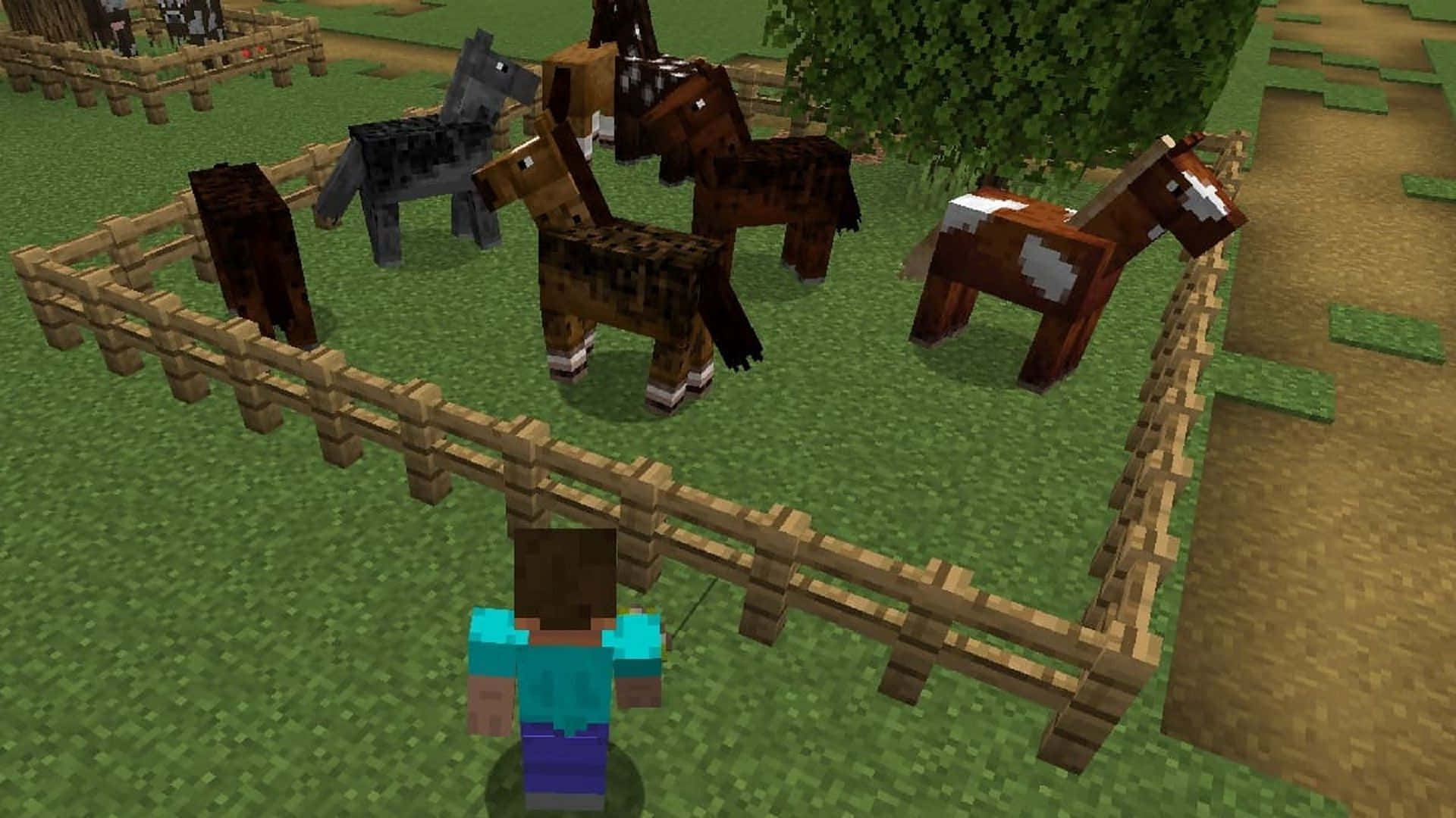 Minecraft Horse Adventure Wallpaper