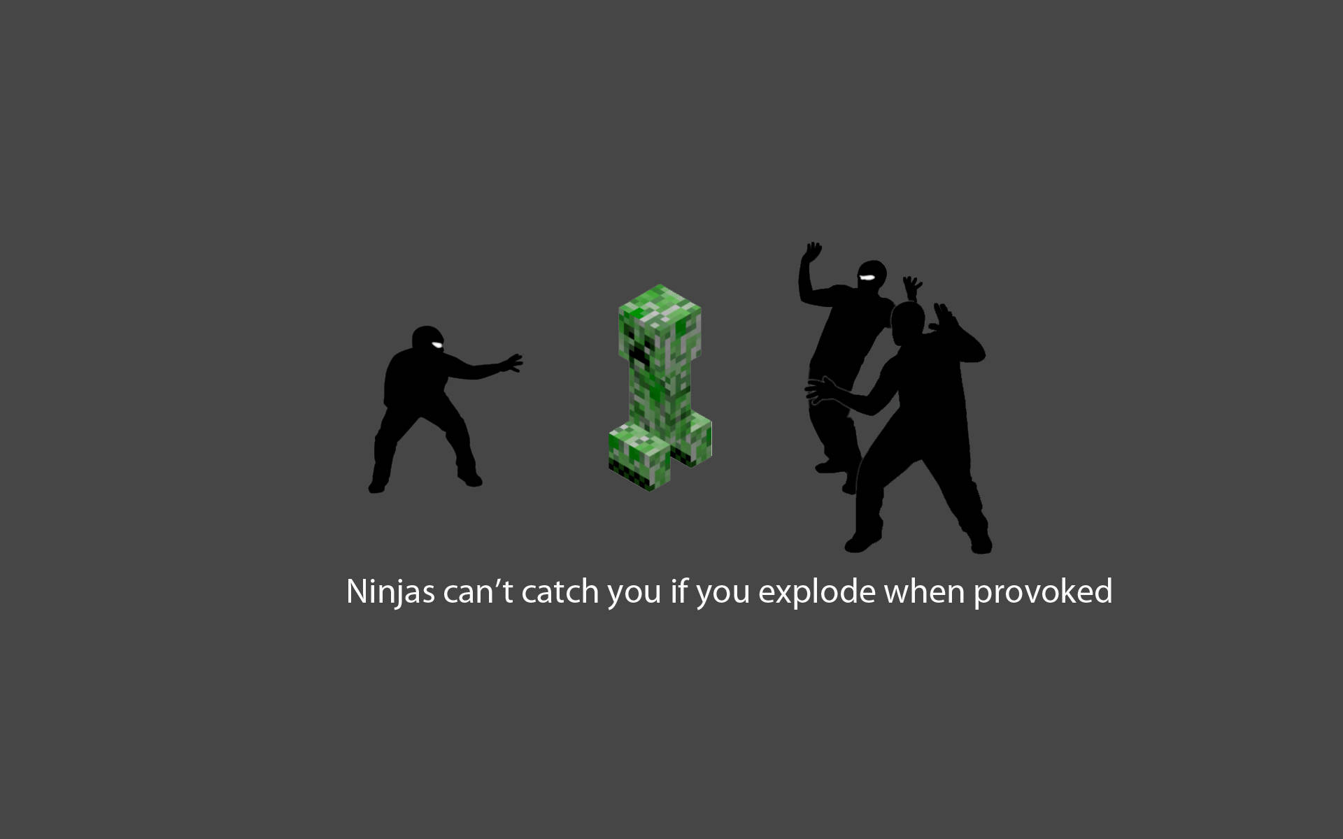 Papelde Parede De Minecraft Ninja Meme. Papel de Parede