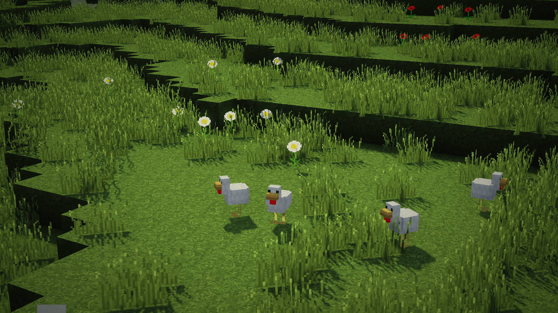Minecraft PC Adventure - Ducks Exploring the Field Wallpaper