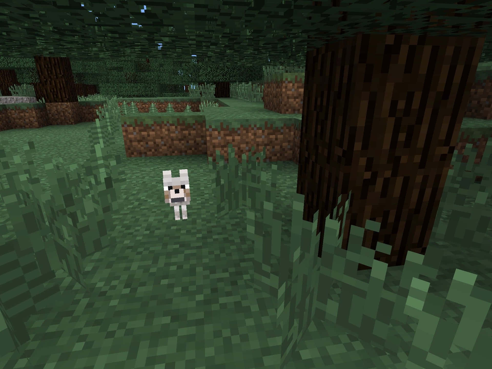 Adorable Minecraft Pets Gathered in a Magical Forest Wallpaper