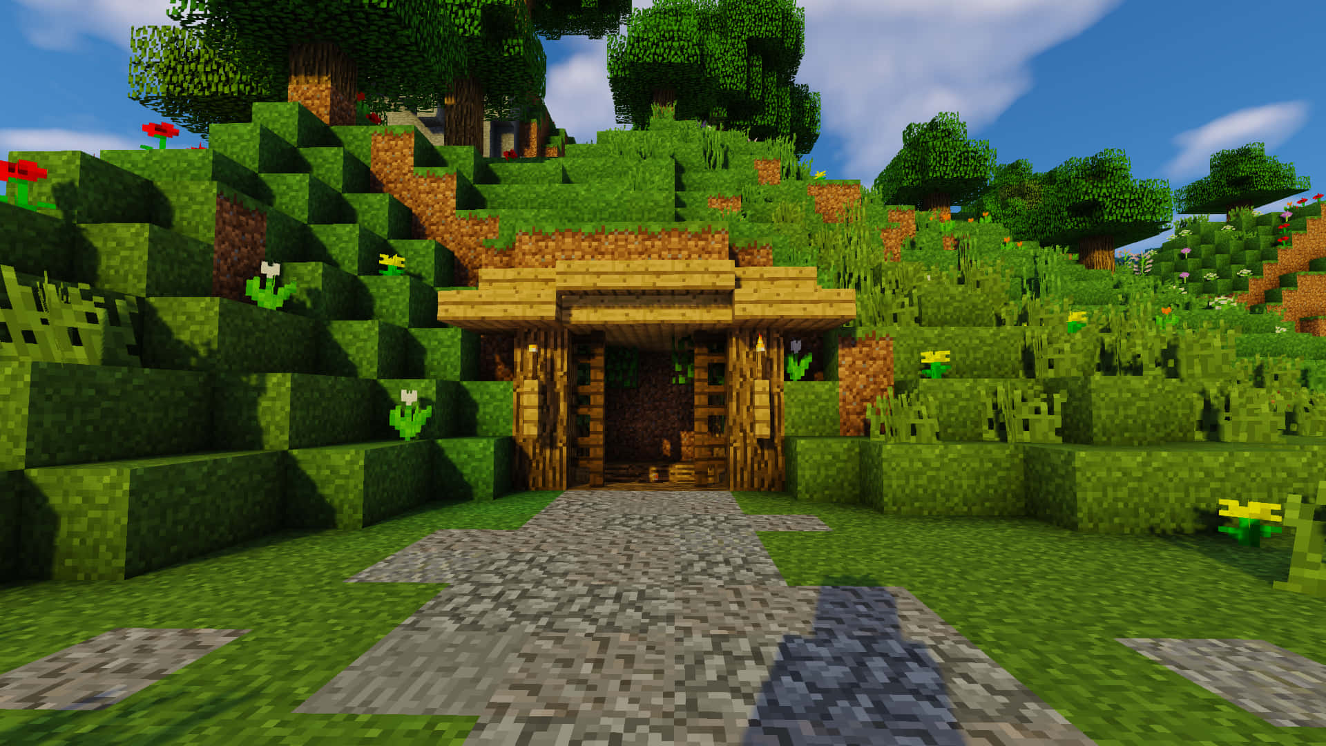 Imagende La Puerta De Una Casa En Minecraft