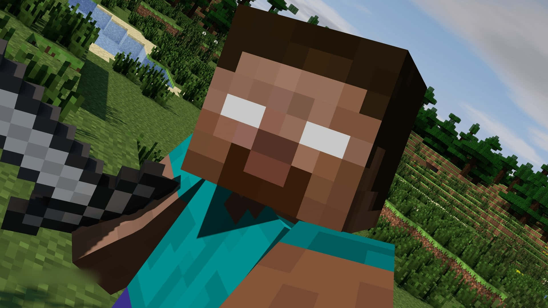 Minecraft Steve Close-up Picture