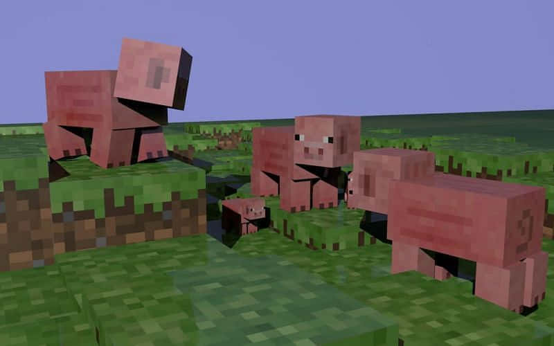 "Who's the cutest Minecraft pig around?" Wallpaper