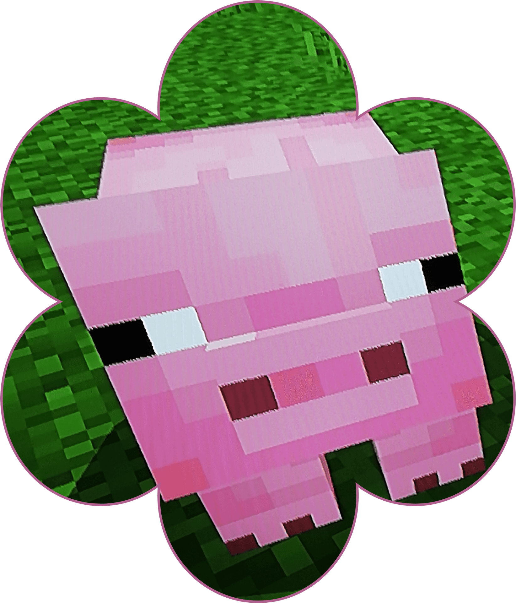 Download #minecraft #pig #edit - Carpet, Hd Png Download | Wallpapers.com