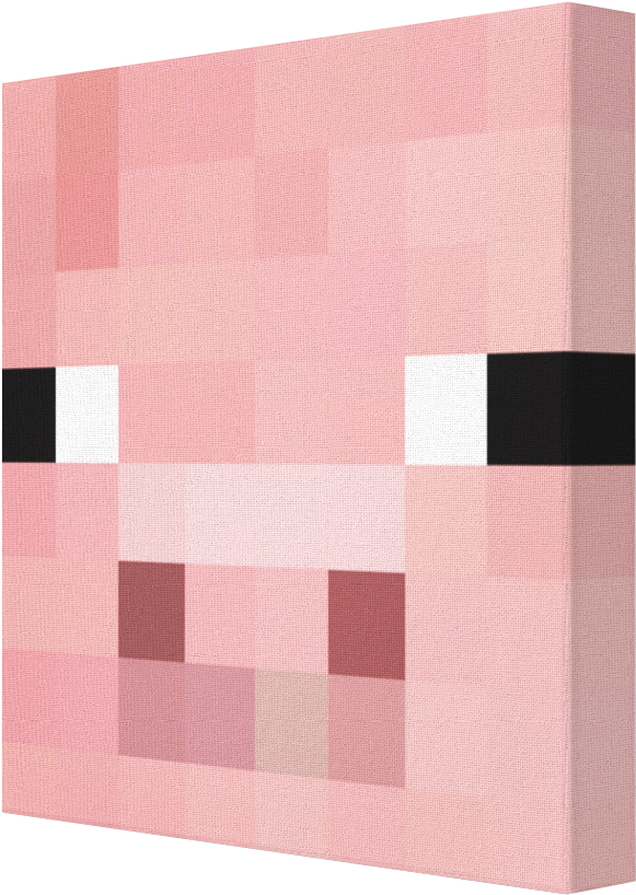 Minecraft Pig Face Texture PNG