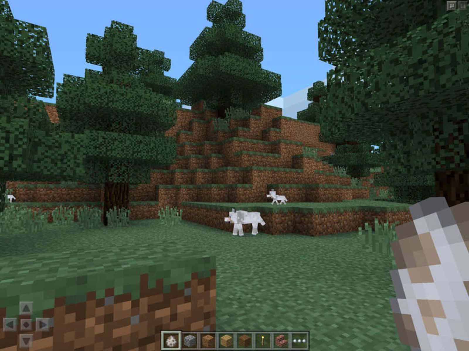 Discover a New World in Minecraft Pocket Edition! Wallpaper