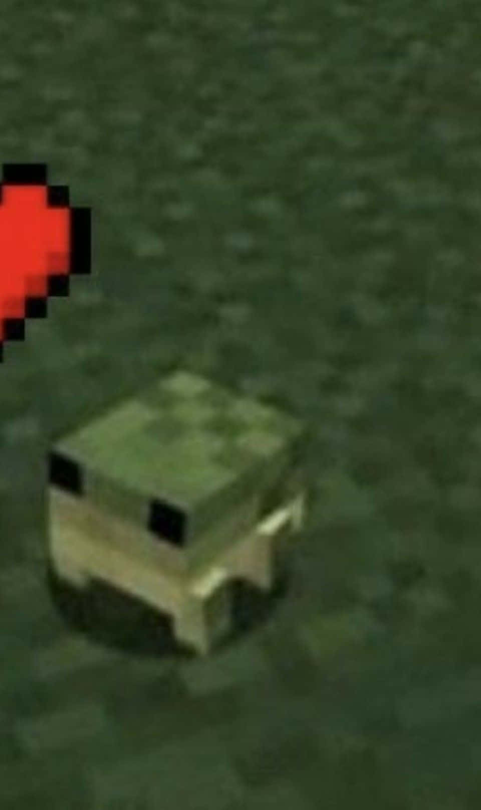 Cute Frog From Minecraft Profile Picture