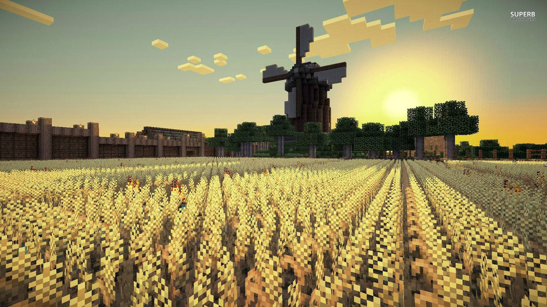 Enjoying the tranquil morning in a Minecraft rice field Wallpaper