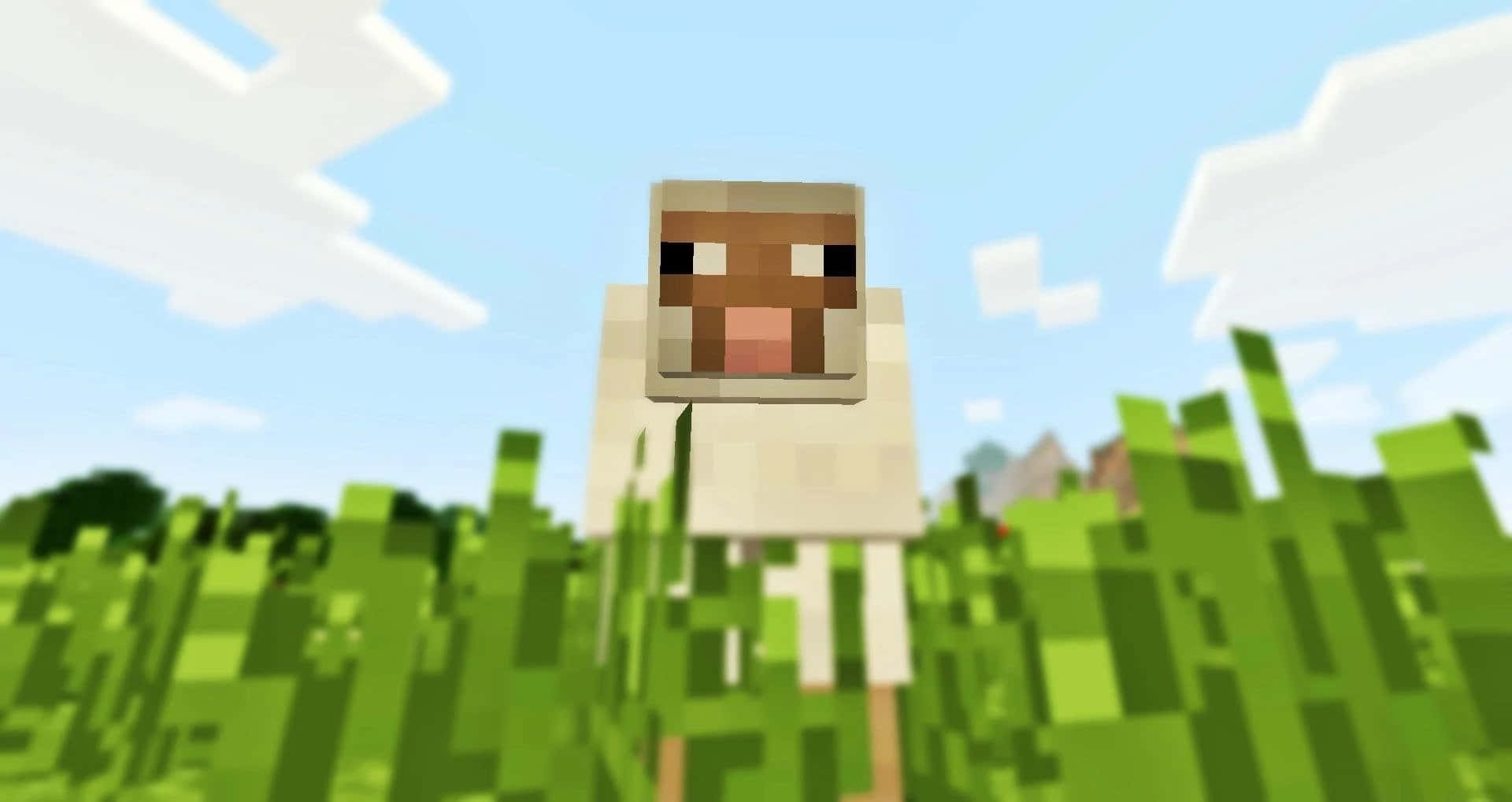 Colorful Minecraft Sheep in a Lush Green Field Wallpaper